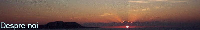 Despre noi